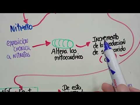 Nitroglicerina en emergencia hipertensiva 🖍️💊💉