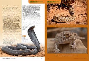 1.1K views · 143 reactions | Herp-related tourism or “herping”, the...