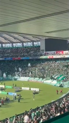 カナリア チャント 東京ヴェルディvs鹿島アントラーズ 味の素スタジアム J1第37節 2025/11/30 #verdy #shorts