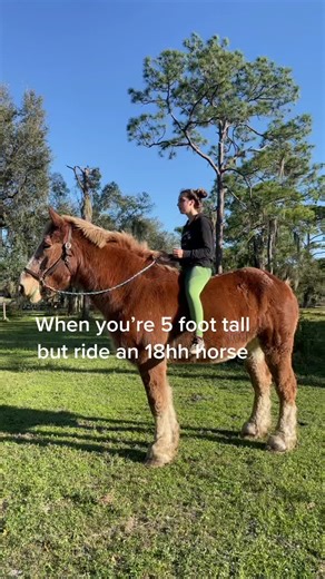 Riding a Big Belgian Draft Horse - Short Girl Problems