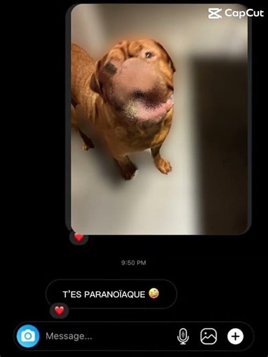 Js ds ma paranoïa ~Jul~