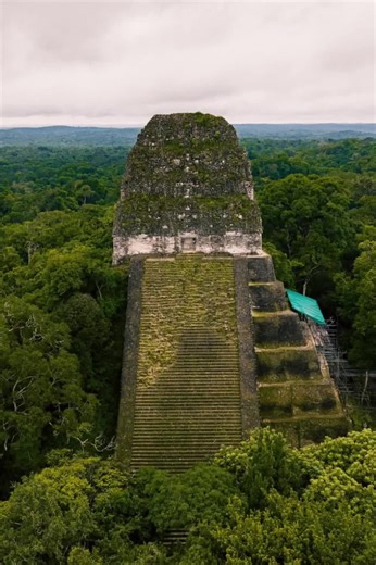 Crestaria de los templos de tikal #parquenacionaltikal #tikalnationalpark #tikal