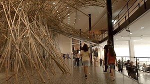 16K views · 538 reactions |  An interactive installation with paths through the ocean of bamboo, just waiting for you to explore. “Big Bambú” guidelines & tickets: www.mfah.org/bambu | The Museum of Fine Arts, Houston | Facebook