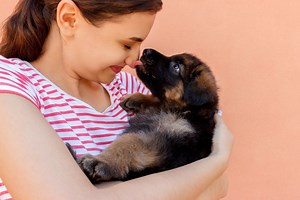 Why your German Shepherd licks you (and how to stop it)
