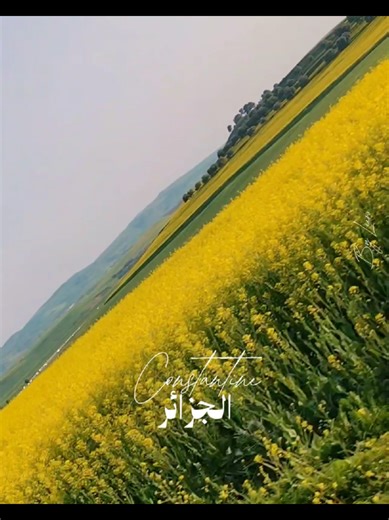 Discover the Beauty of Algeria 🇩🇿