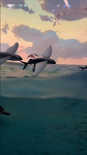 🐬Why do dolphins and tuna travel together?