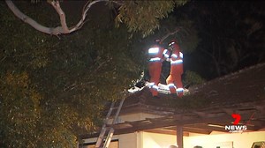 Emergency services have been attending to an alarming number of fallen trees - the latest, a large gumtree falling on a house at Prospect, damaging the roof. The latest in 7NEWS Adelaide at 4pm and 6pm | www.7NEWS.com.au #Prospect #7NEWS | 7NEWS Adelaide