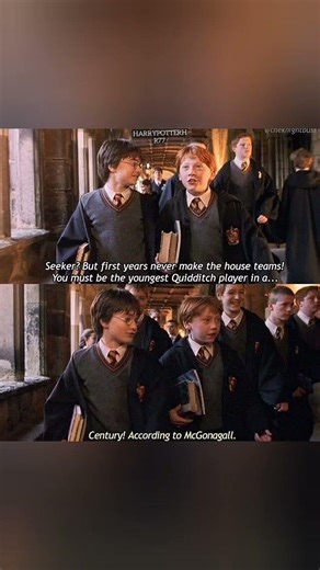 The Youngest Seeker in a Century#harrypotter #funnyimages