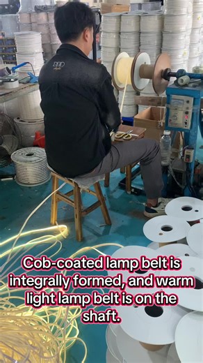 Cob rubber-coated lamp strip, integrally formed, warm light, the lamp strip shaft, export, source factory wholesale, quality guaranteed.#install#yeechop#led#ledights#light