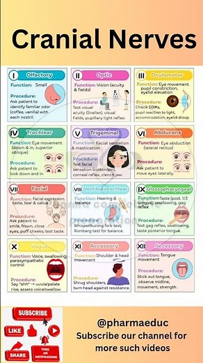 12 Cranial Nerves Made Easy | Mnemonics, Functions & Clinical Tests |Anatomy & Physiology Simplified