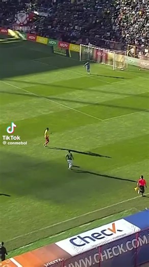 Amagno zoait on TikTok