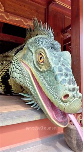 The strangest-looking python ever, slithering out of a shrine. #reelsviralシ #reelsvideoシ