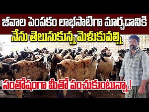 జీవాల పెంపకం లాభసాటిగా మార్చడానికి మెళకువలు | Sheep & Goat Farming | Raithe Raju