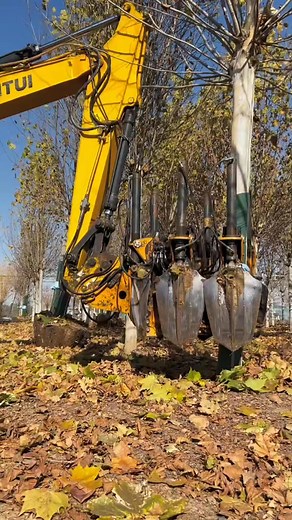 6.7K views · 34 reactions | evergreentreedigger #nursery tree digging machine #transplant seedlings | Thakor Prem | Facebook