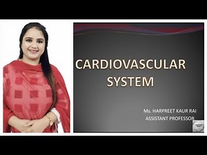 CARDIOVASCULAR SYSTEM ( NOTES WITH EXPLANATION)