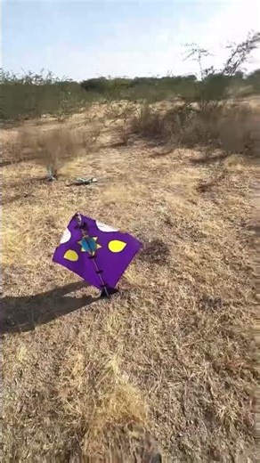 science project 🪁 kite #kite