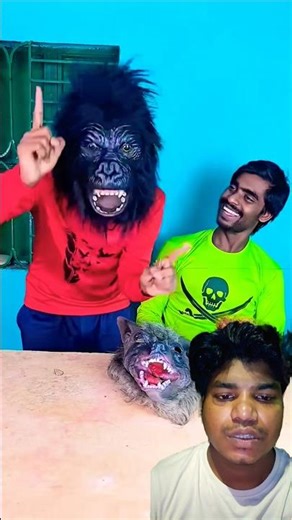 The Mask Challenge Went Too Far – You Won’t Stop Laughing! 🤯🦍🐺🐴🤣