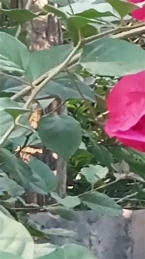 18 de febrero de 2026