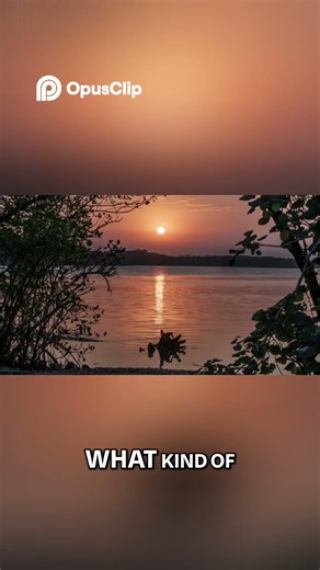 Escape the Confusion Prison Unlock Your True Consciousness