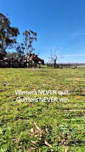 Master Saddle Bronc Riding: Unleash Your Inner Cowboy