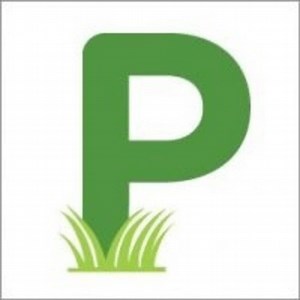 How Do I Post Something On Patch?