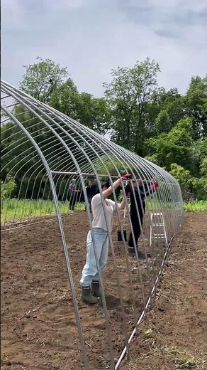 【ビニールハウス作り】畑に集まる仲間たち② #八王子 #農業 #diy #challenge #lets #farm #farmer