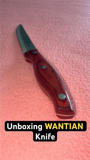 Wantian Knife | Wantian Knives | Stainless Steel Best Knife for Knitchen 🔥