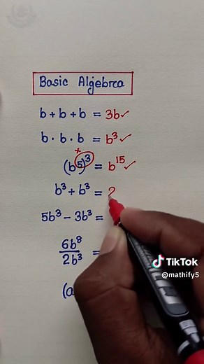 Basic Algebra Review: Equations & Concepts