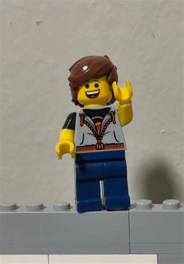 I literally have no clue what this video is all about other than Zachary being an idiot and then falling off the wall he’s standing on and most likely unconscious afterwards when he failed to the ground, I’m sure!!😂😂