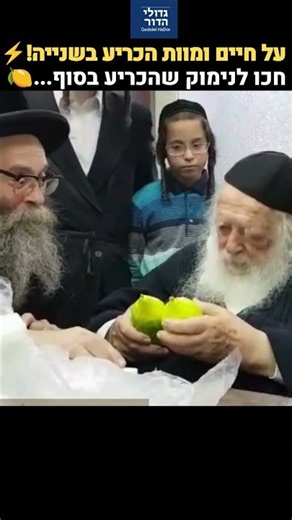 על שאלות של חיים ומוות הכריע בשנייה! | ההתלבטות הנדירה של רבי חיים קנייבסקי בבחירת אתרוג 🍋✨