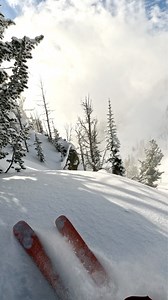 Gliding through glistening ✨ fresh powder ❄️ in Casper Bowl this morning. 🎥: Bobby Thompson on GoPro HERO 11 Black | Jackson Hole Mountain Resort
