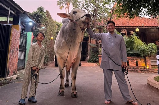 Momen Haru Irfan Hakim Kurbankan Sapi Kesayangan, Netizen Ikut Menangis : Okezone Celebrity