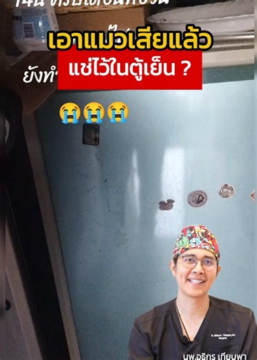 เอาแมวลายตุยมาแช่ในตู้เย็น: ความรู้จาก TikTok
