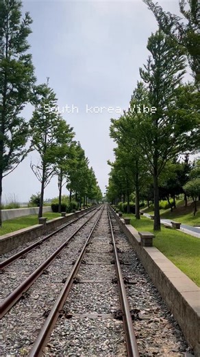 Korean_Traveler_PJ on Instagram: "📌 South Korea | 대한민국 💌 Everyday scenes, quiet walks, and a rhythm that slowly grows on you🫶 That’s the South Korea vibe❤️ 언제 어디서나 보아도 아름다운 대한민국🇰🇷 #korea #koreanstyle #koreatrip #koreadrama #seoul #seoulkorea #seoullovers #seoultravel #seoulcity #seoul_official#namsantower #incheon #lotteworldtower #gangnam #gyeongbokgung #follow #followforfollowback #followers #한국#부산 #롯데타워 #서울 #서울여행 #한국여행 #인천 #남산타워 #경복궁 #강남 #야경 #서울가볼만한곳"