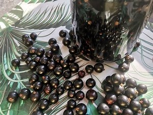 Blackcurrant without sugar for winter - a delicious and simple recipe for blackcurrant compote