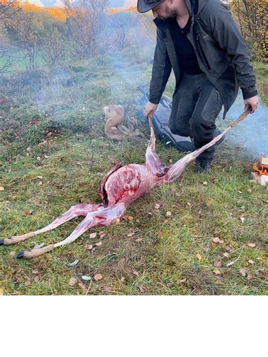 Wild Cooking: Step-by-Step Deer Preparation Guide