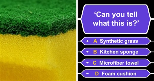 These 25 Zoomed-In Images Test Will Reveal How Sharp Your Observation Skills Really Are