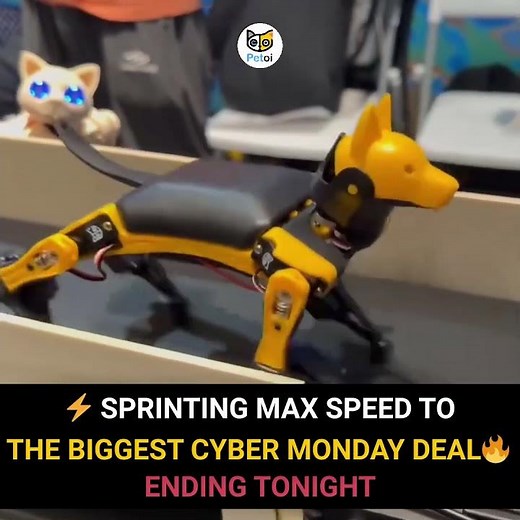 Bitte Robot Dog Training Hard to Catch the Biggest Cyber Monday Deal! 🏃💨