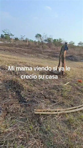 va cada año #suscribete #viralvideo #cute#fypシ#parati