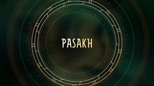 8.9K reactions · 1.6K shares | Why is the word used for Passover the same word used for protective birds?  | BibleProject | Facebook