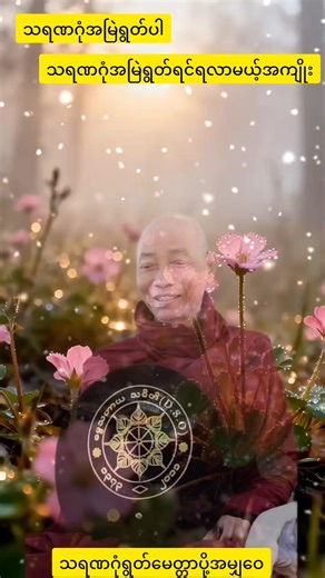 #ပါချုပ်ဆရာတော်ဘုရာကြီး🙏🙏🙏 #ဓမ္မအသိဖြင့်အကျိုးရှိရှိနေမည် #သရဏဂုံကိုးကွယ်တဲ့အကျိုးကျေးဇူး #myanmartiktok🇲🇲🇲🇲 #foryoupage