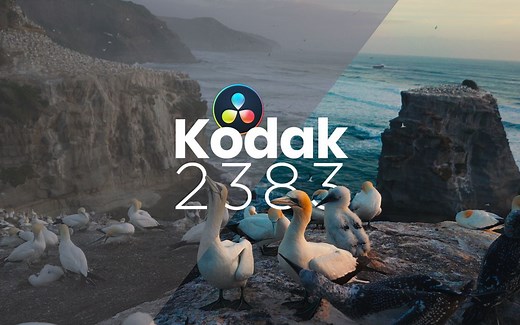 Kodak 2383 YYDS