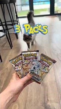 Cat Pokémon Battle EP 19 🧄🧂🌶️