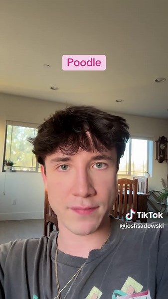 Funny Dog Impressions: How Dogs Would Sound As People