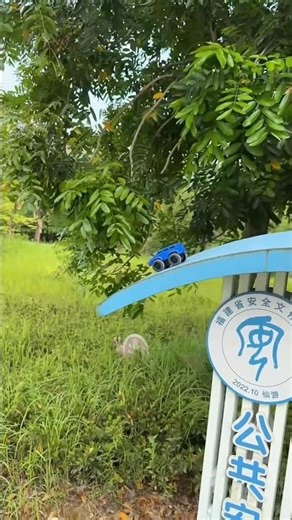 Chota sa remote control car racing test rc 😳 🚘#shortsfeed #bollywood #indianbikesdriving3dnewtodayup