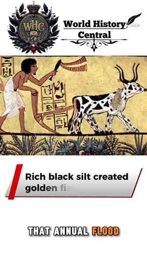 How the Nile River Created Ancient Egypt | Full Historical Breakdown #thejewelofthenile #oldegypt