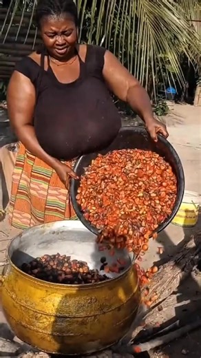 48Do you know how palm oil is extracted in Africa#palmoil #knowledge #science #africa #traditional | Zoe Edwards