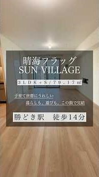 【晴海フラッグSUN VILLAGE B棟】13階南東向き！お台場方面も臨める開放的で明るいお部屋！#タワーマンション #shorts #中古マンション #湾岸 #ふじふじ太 #専任物件紹介