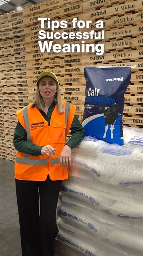 In this weeks video, Stacey shares her top tips for weaning calves - from timing and feed to mineral supplementation. A few small changes can make a big difference for your calves this season. You can find more resources and guides like these on our Spring Calving Support Hub here: https://www.farmlands.co.nz/farmlands/spring-calving-support.html | Farmlands Co-operative