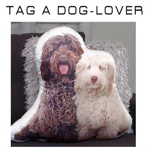#dogmumlife 🐶 SHOP: http://bit.ly/dog_cushions | OZSALE